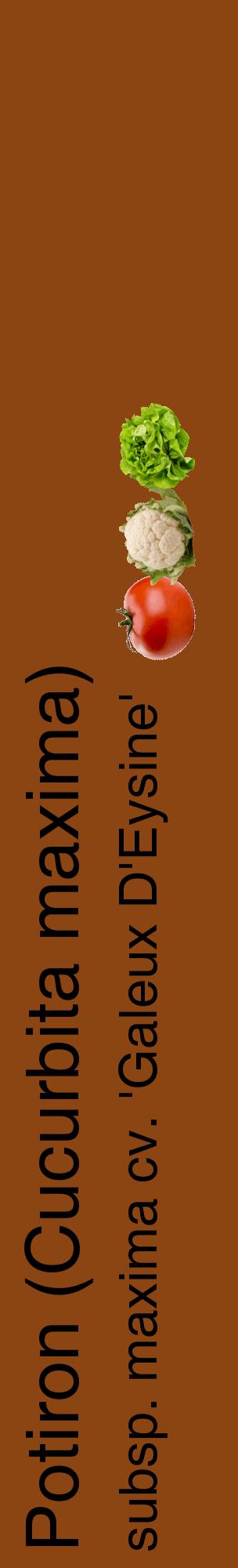 Étiquette de : Cucurbita maxima subsp. maxima cv. 'Galeux D'Eysine' - format c - style noire30_basiquehel avec comestibilité simplifiée