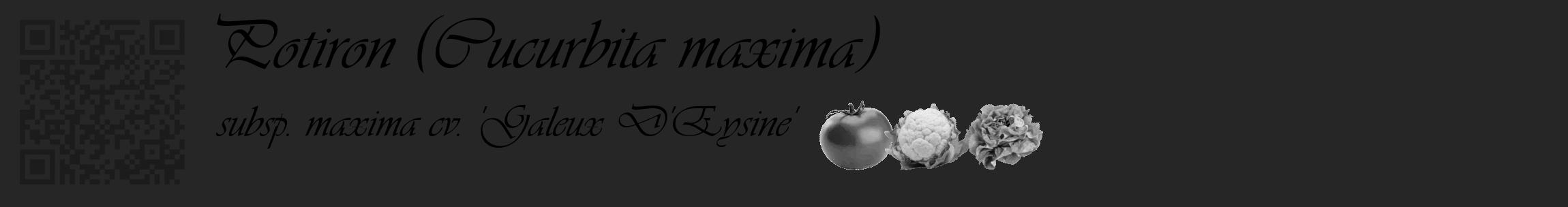 Étiquette de : Cucurbita maxima subsp. maxima cv. 'Galeux D'Eysine' - format c - style noire29_basique_basiqueviv avec qrcode et comestibilité simplifiée