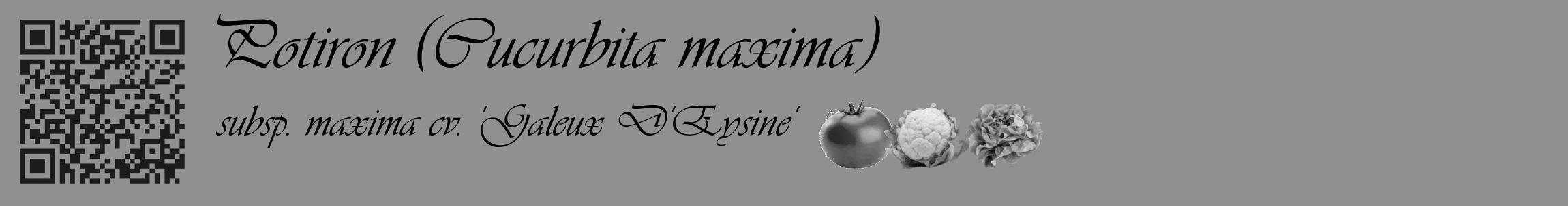 Étiquette de : Cucurbita maxima subsp. maxima cv. 'Galeux D'Eysine' - format c - style noire4_basique_basiqueviv avec qrcode et comestibilité simplifiée