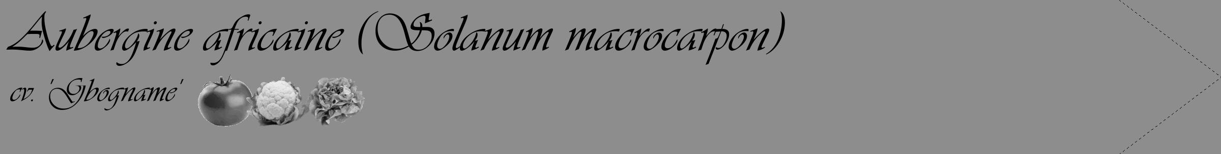 Étiquette de : Solanum macrocarpon cv. 'Gbogname' - format c - style noire2_simple_simpleviv avec comestibilité simplifiée