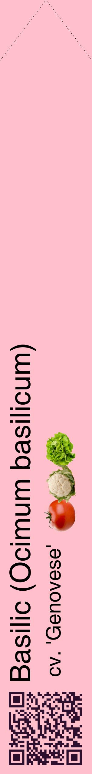 Étiquette de : Ocimum basilicum cv. 'Genovese' - format c - style noire40_simplehel avec qrcode et comestibilité simplifiée