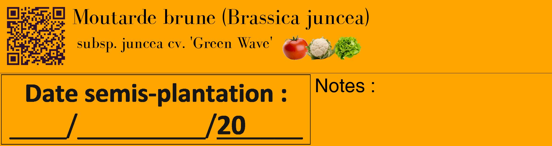 Étiquette de : Brassica juncea subsp. juncea cv. 'Green Wave' - format c - style noire22_basique_basiquebod avec qrcode et comestibilité simplifiée