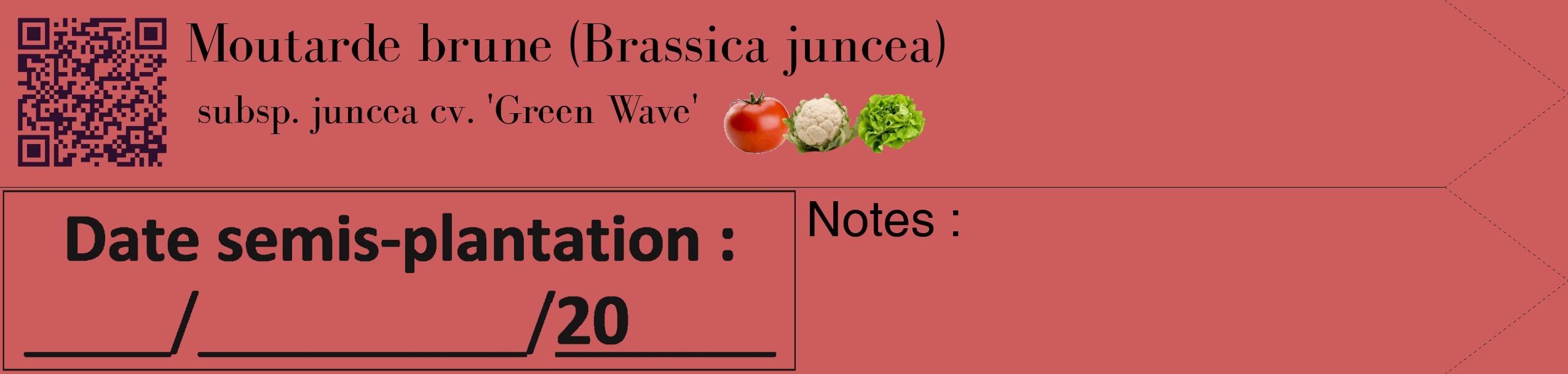 Étiquette de : Brassica juncea subsp. juncea cv. 'Green Wave' - format c - style noire35_simple_simplebod avec qrcode et comestibilité simplifiée