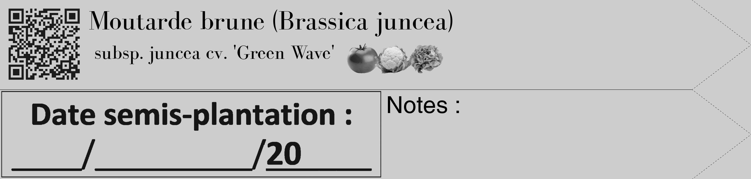Étiquette de : Brassica juncea subsp. juncea cv. 'Green Wave' - format c - style noire41_simple_simplebod avec qrcode et comestibilité simplifiée