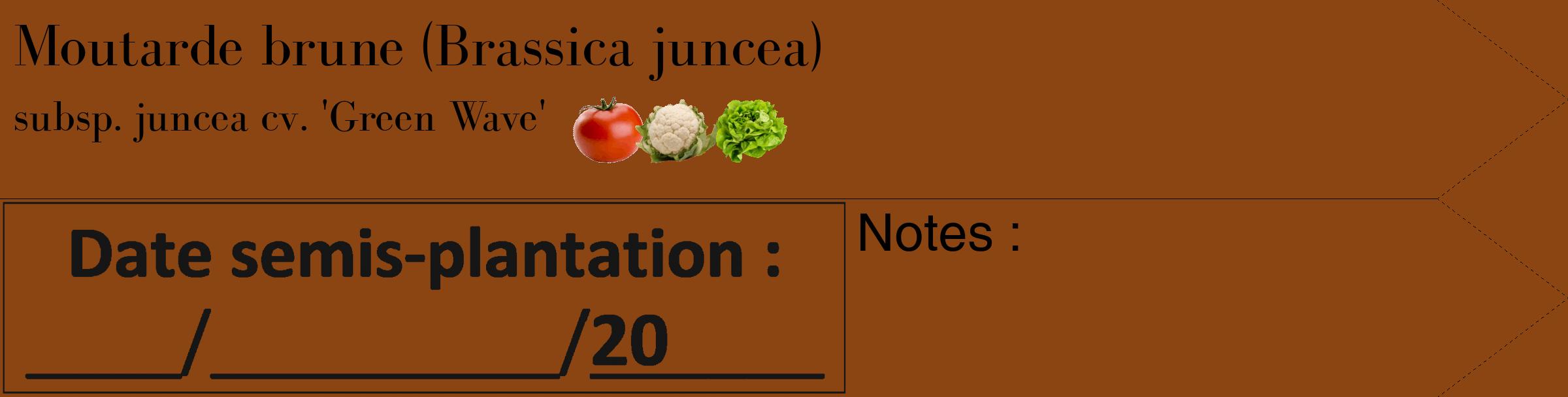 Étiquette de : Brassica juncea subsp. juncea cv. 'Green Wave' - format c - style noire30_simple_simplebod avec comestibilité simplifiée