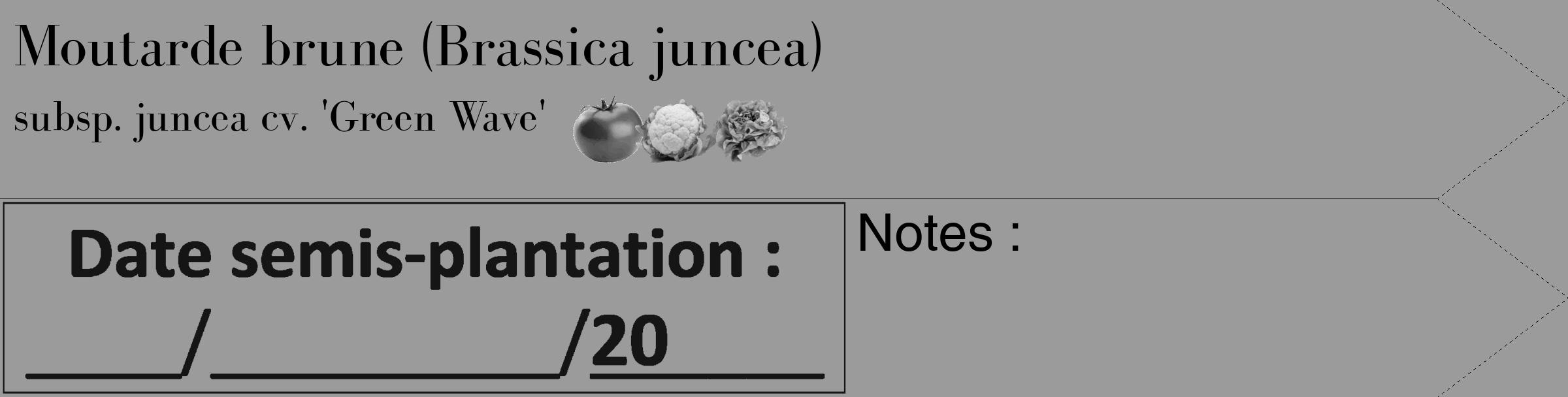 Étiquette de : Brassica juncea subsp. juncea cv. 'Green Wave' - format c - style noire52_simple_simplebod avec comestibilité simplifiée