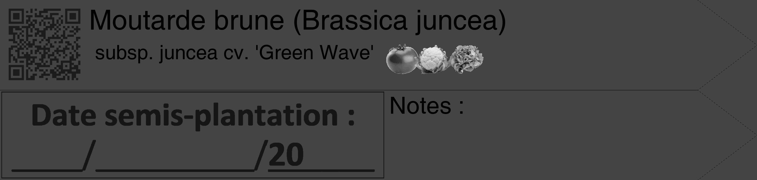 Étiquette de : Brassica juncea subsp. juncea cv. 'Green Wave' - format c - style noire48_simple_simplehel avec qrcode et comestibilité simplifiée