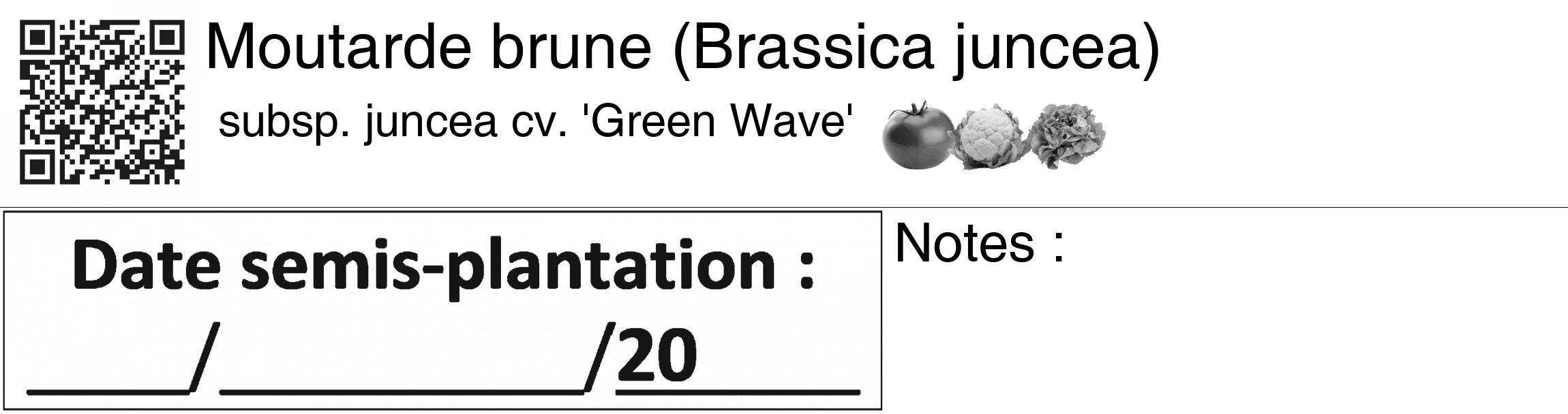 Étiquette de : Brassica juncea subsp. juncea cv. 'Green Wave' - format c - style noire60_basiquegrrvhel avec qrcode et comestibilité simplifiée