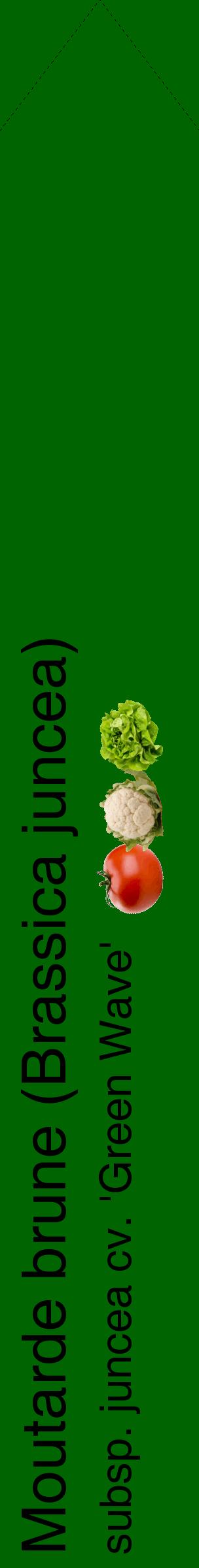 Étiquette de : Brassica juncea subsp. juncea cv. 'Green Wave' - format c - style noire8_simplehel avec comestibilité simplifiée