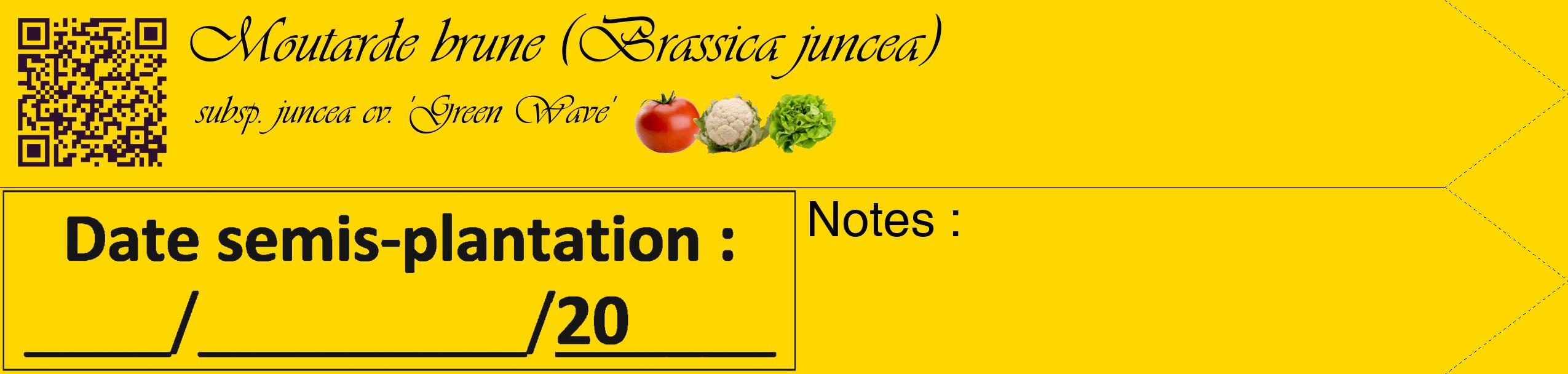 Étiquette de : Brassica juncea subsp. juncea cv. 'Green Wave' - format c - style noire21_simple_simpleviv avec qrcode et comestibilité simplifiée