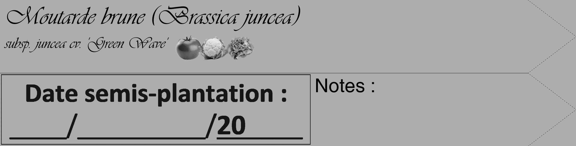 Étiquette de : Brassica juncea subsp. juncea cv. 'Green Wave' - format c - style noire22_simple_simpleviv avec comestibilité simplifiée