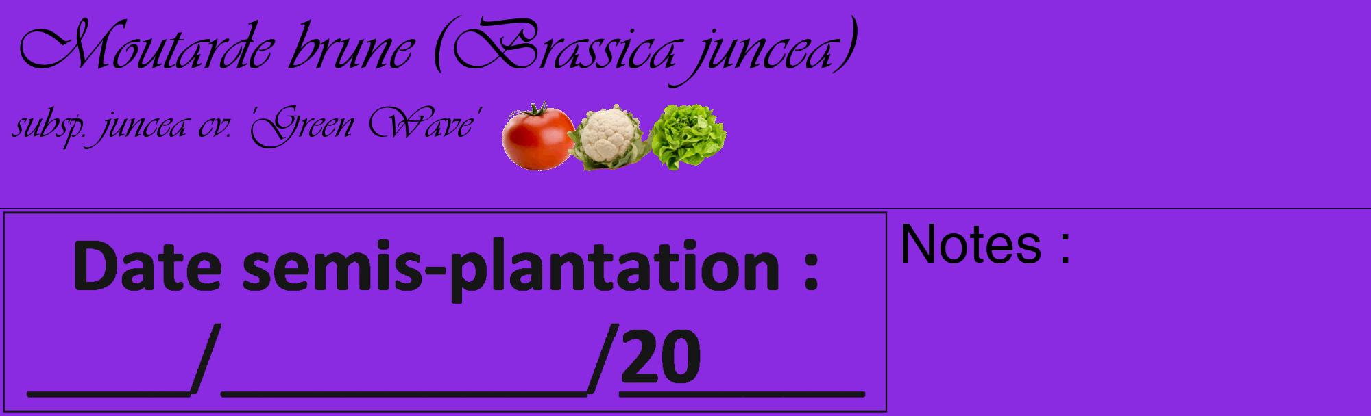 Étiquette de : Brassica juncea subsp. juncea cv. 'Green Wave' - format c - style noire49_basique_basiqueviv avec comestibilité simplifiée