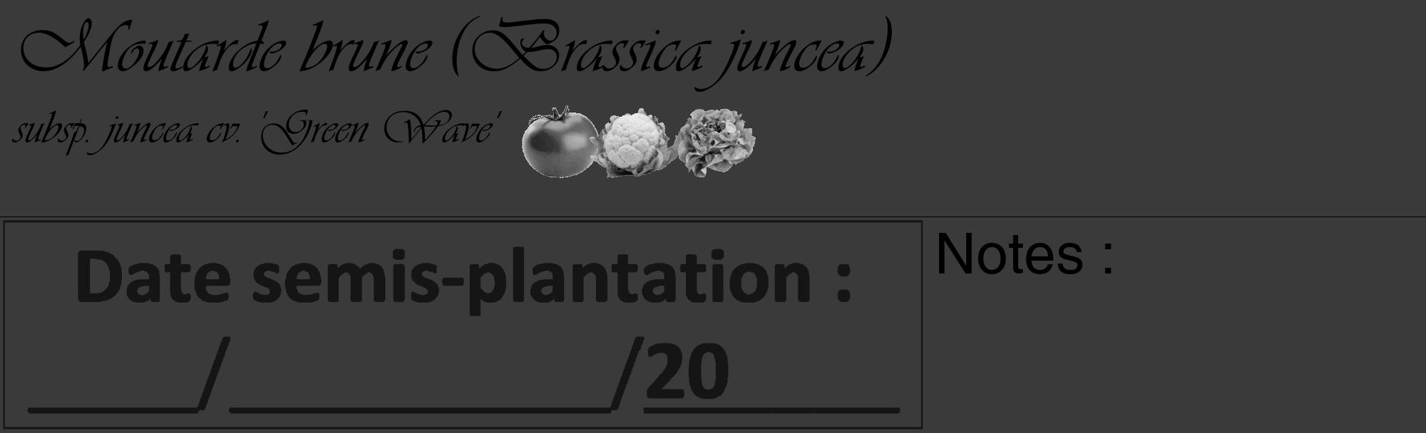 Étiquette de : Brassica juncea subsp. juncea cv. 'Green Wave' - format c - style noire8_basique_basiqueviv avec comestibilité simplifiée