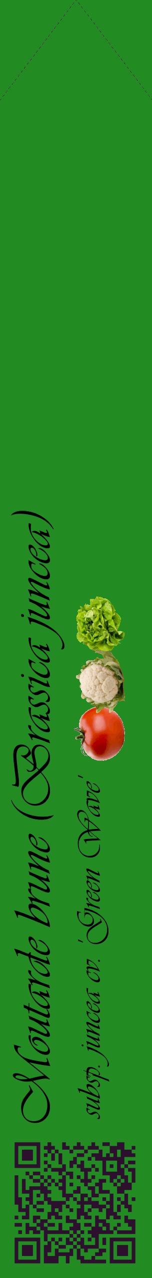 Étiquette de : Brassica juncea subsp. juncea cv. 'Green Wave' - format c - style noire10_simpleviv avec qrcode et comestibilité simplifiée