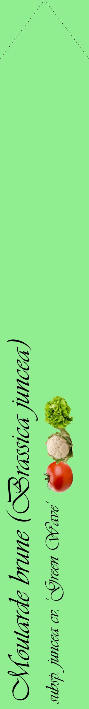 Étiquette de : Brassica juncea subsp. juncea cv. 'Green Wave' - format c - style noire15_simpleviv avec comestibilité simplifiée