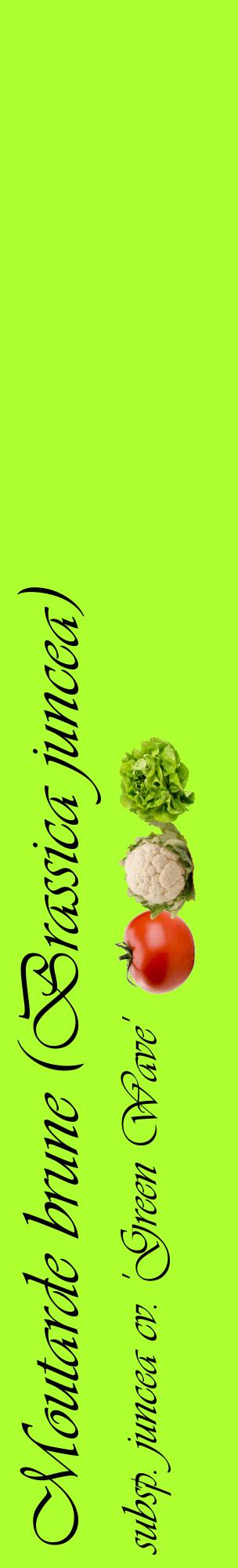 Étiquette de : Brassica juncea subsp. juncea cv. 'Green Wave' - format c - style noire17_basiqueviv avec comestibilité simplifiée