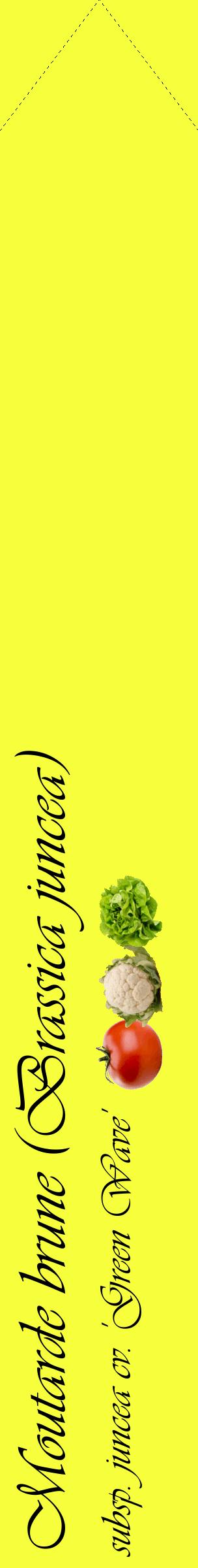Étiquette de : Brassica juncea subsp. juncea cv. 'Green Wave' - format c - style noire18_simpleviv avec comestibilité simplifiée