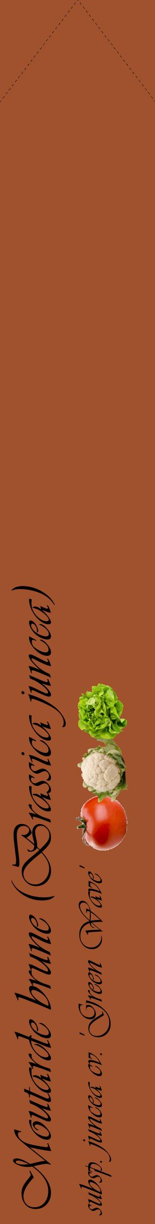 Étiquette de : Brassica juncea subsp. juncea cv. 'Green Wave' - format c - style noire32_simpleviv avec comestibilité simplifiée