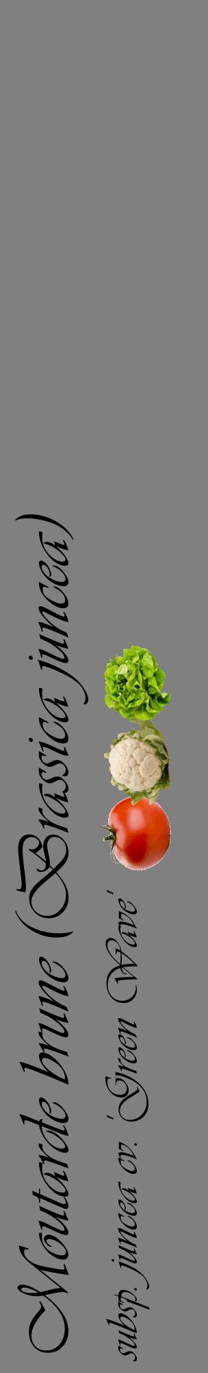 Étiquette de : Brassica juncea subsp. juncea cv. 'Green Wave' - format c - style noire57_basiqueviv avec comestibilité simplifiée