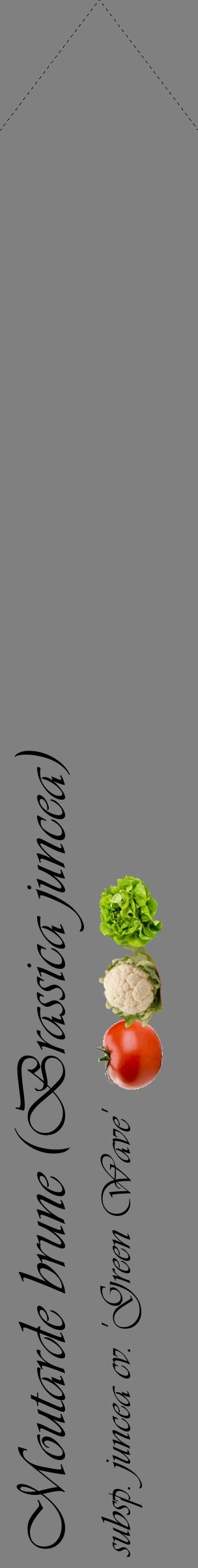 Étiquette de : Brassica juncea subsp. juncea cv. 'Green Wave' - format c - style noire57_simpleviv avec comestibilité simplifiée