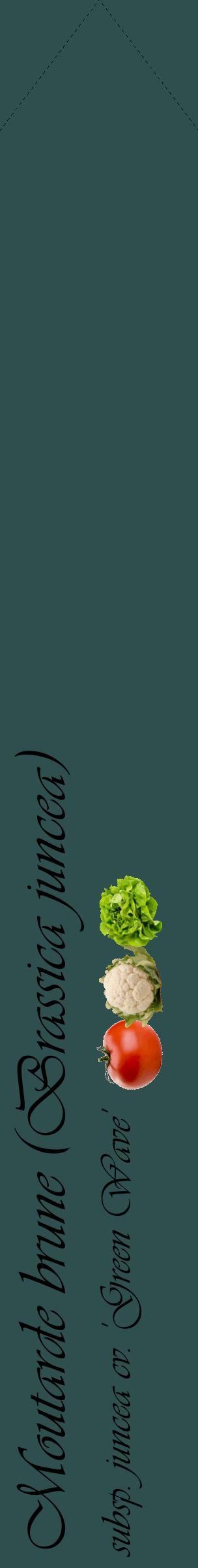 Étiquette de : Brassica juncea subsp. juncea cv. 'Green Wave' - format c - style noire58_simpleviv avec comestibilité simplifiée