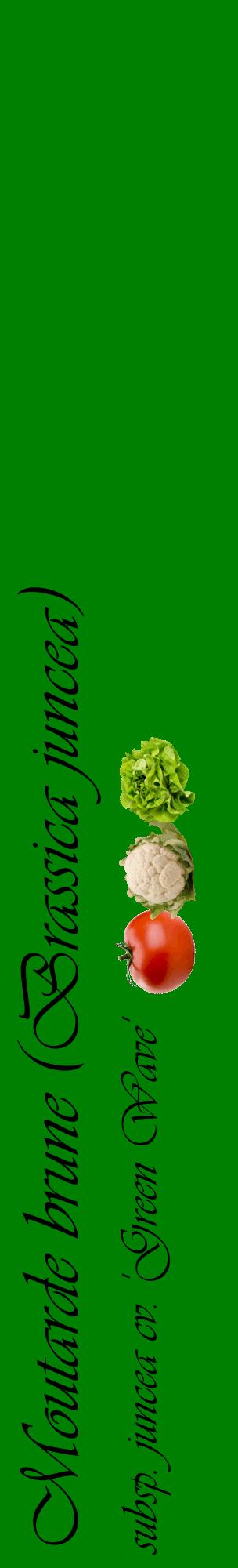 Étiquette de : Brassica juncea subsp. juncea cv. 'Green Wave' - format c - style noire9_basiqueviv avec comestibilité simplifiée
