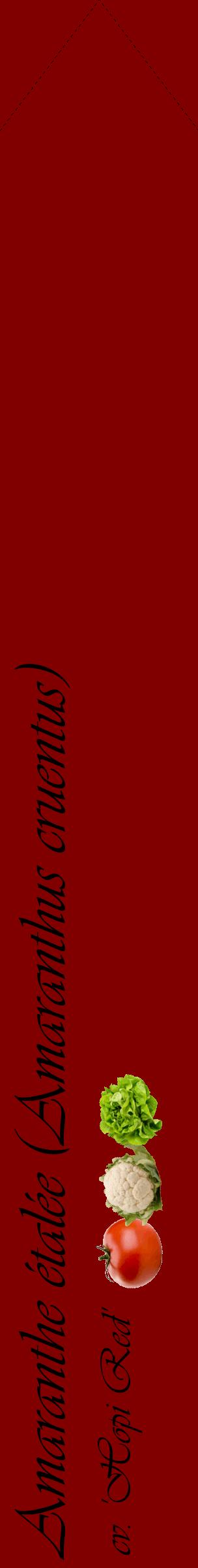 Étiquette de : Amaranthus cruentus cv. 'Hopi Red' - format c - style noire29_simpleviv avec comestibilité simplifiée