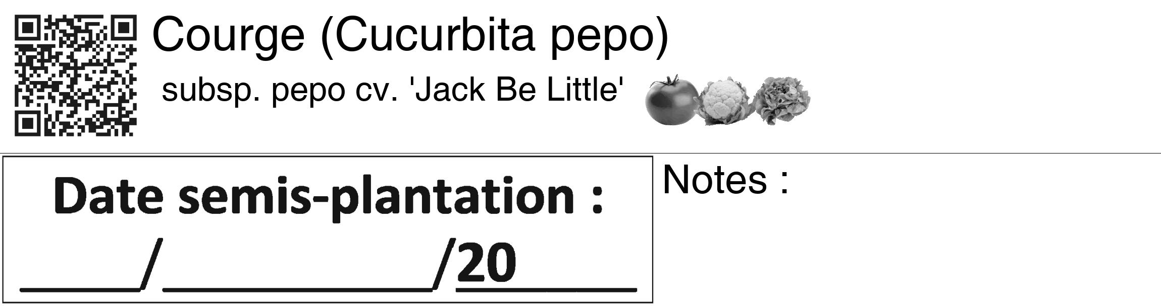 Étiquette de : Cucurbita pepo subsp. pepo cv. 'Jack Be Little' - format c - style noire60_basiquegrrvhel avec qrcode et comestibilité simplifiée