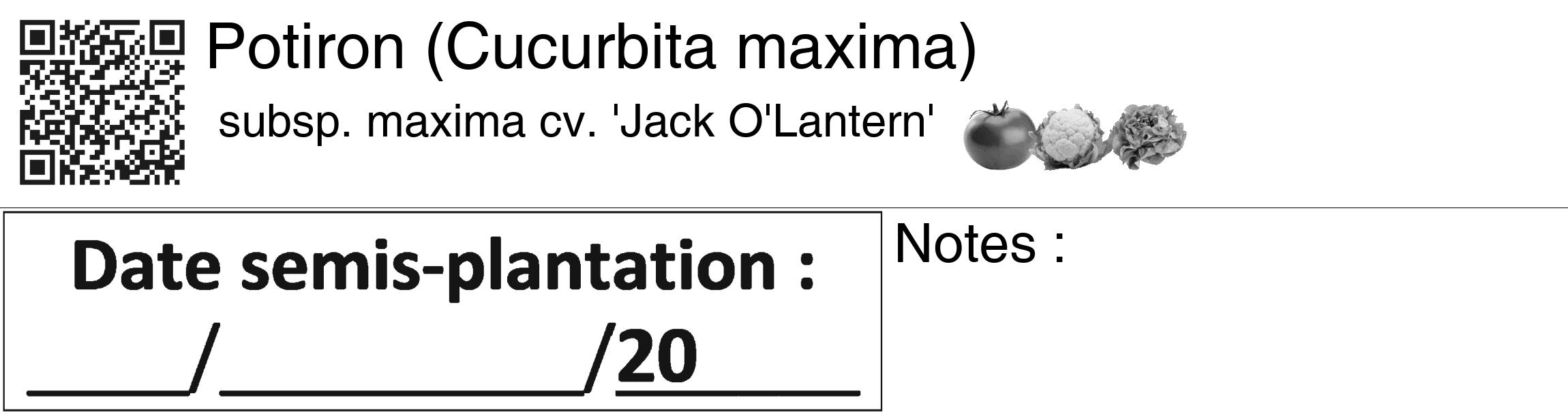 Étiquette de : Cucurbita maxima subsp. maxima cv. 'Jack O'Lantern' - format c - style noire60_basiquegrrvhel avec qrcode et comestibilité simplifiée