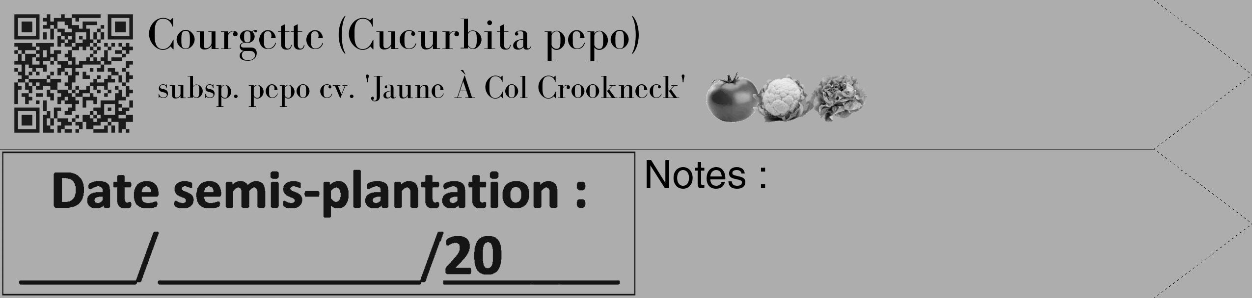Étiquette de : Cucurbita pepo subsp. pepo cv. 'Jaune À Col Crookneck' - format c - style noire22simple_simple_simplebod avec qrcode et comestibilité simplifiée