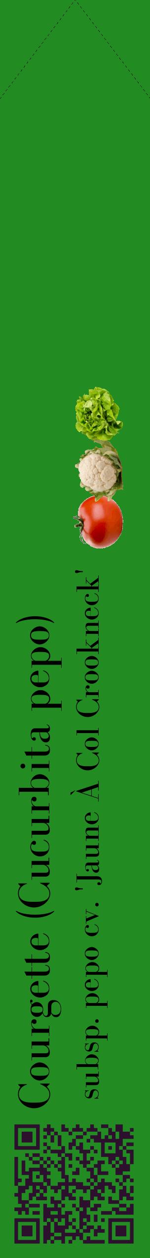 Étiquette de : Cucurbita pepo subsp. pepo cv. 'Jaune À Col Crookneck' - format c - style noire10_simplebod avec qrcode et comestibilité simplifiée