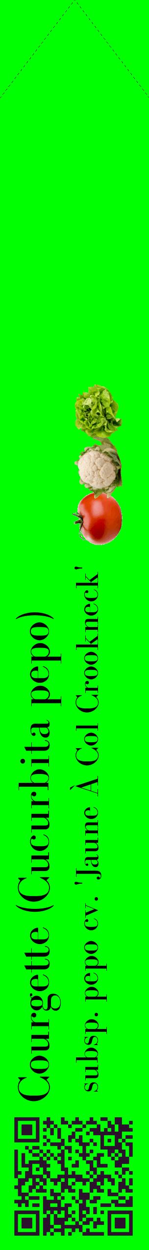 Étiquette de : Cucurbita pepo subsp. pepo cv. 'Jaune À Col Crookneck' - format c - style noire16_simplebod avec qrcode et comestibilité simplifiée