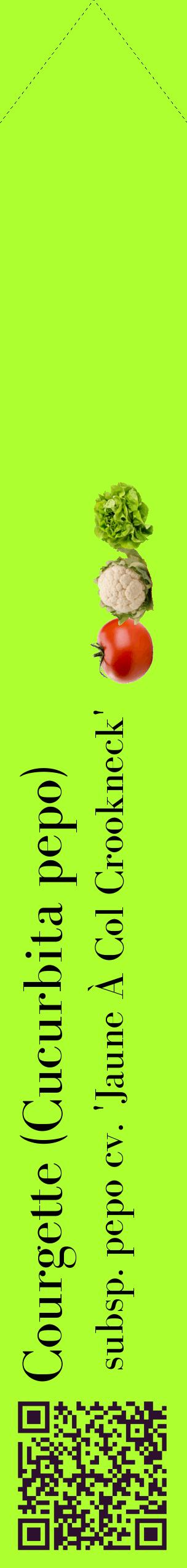 Étiquette de : Cucurbita pepo subsp. pepo cv. 'Jaune À Col Crookneck' - format c - style noire17_simplebod avec qrcode et comestibilité simplifiée
