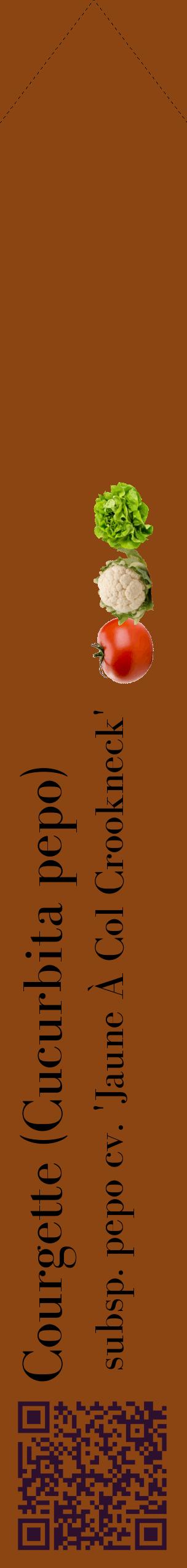 Étiquette de : Cucurbita pepo subsp. pepo cv. 'Jaune À Col Crookneck' - format c - style noire30_simplebod avec qrcode et comestibilité simplifiée