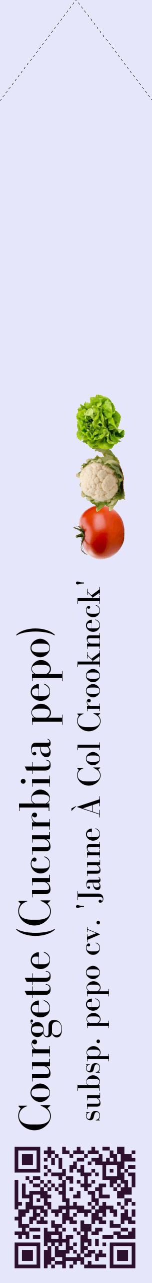 Étiquette de : Cucurbita pepo subsp. pepo cv. 'Jaune À Col Crookneck' - format c - style noire55_simplebod avec qrcode et comestibilité simplifiée