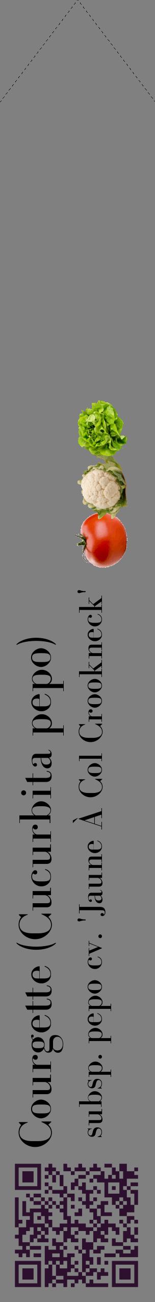 Étiquette de : Cucurbita pepo subsp. pepo cv. 'Jaune À Col Crookneck' - format c - style noire57_simplebod avec qrcode et comestibilité simplifiée