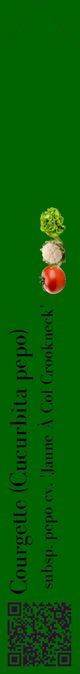 Étiquette de : Cucurbita pepo subsp. pepo cv. 'Jaune À Col Crookneck' - format c - style noire8_simplebod avec qrcode et comestibilité simplifiée