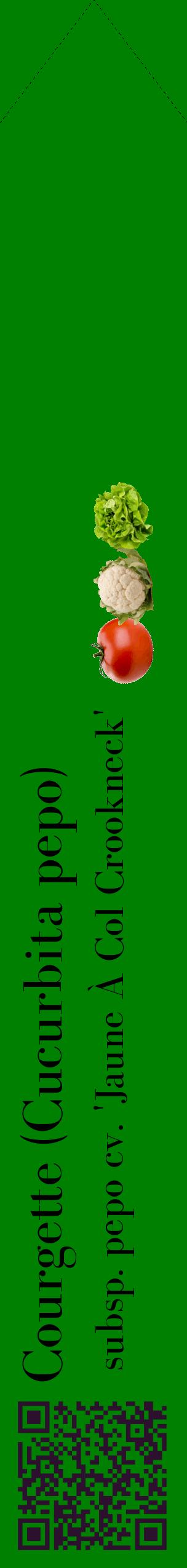 Étiquette de : Cucurbita pepo subsp. pepo cv. 'Jaune À Col Crookneck' - format c - style noire9_simplebod avec qrcode et comestibilité simplifiée