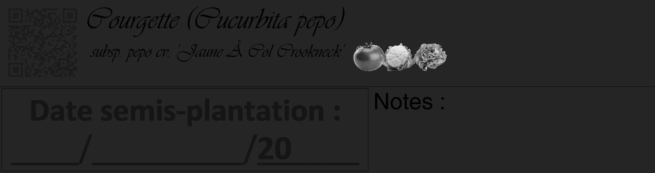 Étiquette de : Cucurbita pepo subsp. pepo cv. 'Jaune À Col Crookneck' - format c - style noire47_basique_basiqueviv avec qrcode et comestibilité simplifiée