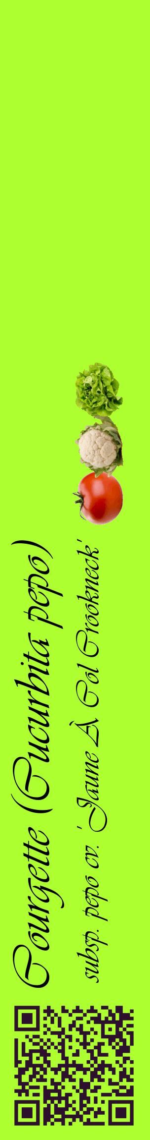 Étiquette de : Cucurbita pepo subsp. pepo cv. 'Jaune À Col Crookneck' - format c - style noire17_basiqueviv avec qrcode et comestibilité simplifiée
