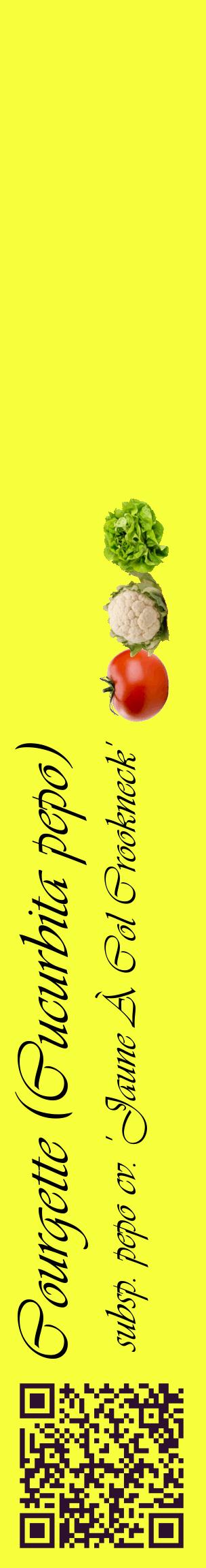 Étiquette de : Cucurbita pepo subsp. pepo cv. 'Jaune À Col Crookneck' - format c - style noire18_basiqueviv avec qrcode et comestibilité simplifiée