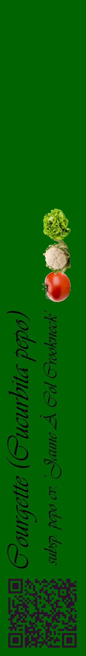Étiquette de : Cucurbita pepo subsp. pepo cv. 'Jaune À Col Crookneck' - format c - style noire8_basiqueviv avec qrcode et comestibilité simplifiée