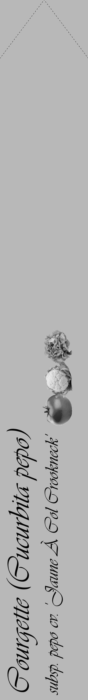 Étiquette de : Cucurbita pepo subsp. pepo cv. 'Jaune À Col Crookneck' - format c - style noire39_simple_simpleviv avec comestibilité simplifiée - position verticale