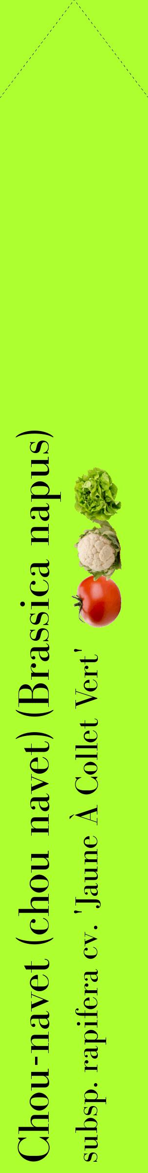 Étiquette de : Brassica napus subsp. rapifera cv. 'Jaune À Collet Vert' - format c - style noire17_simplebod avec comestibilité simplifiée