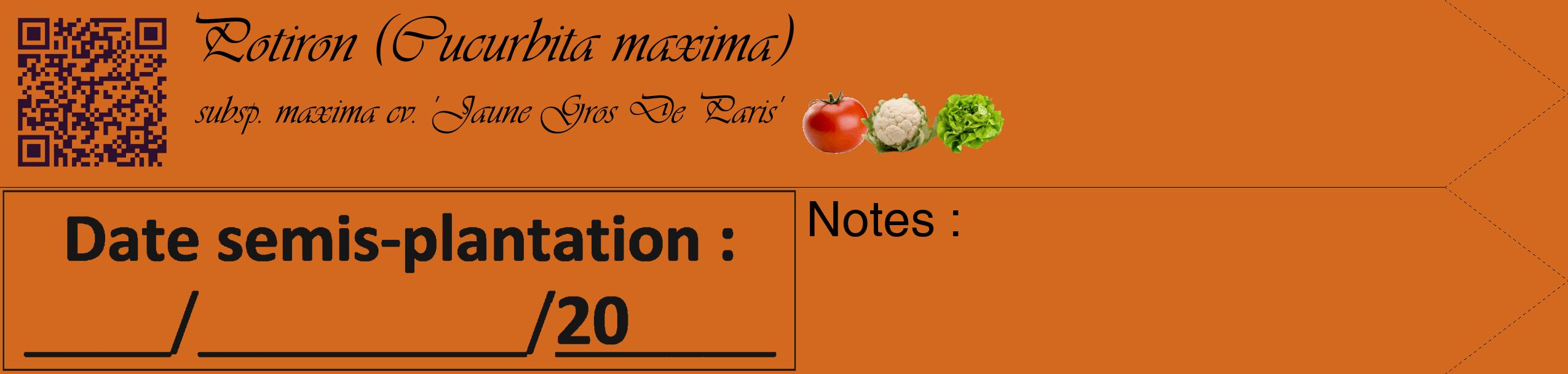 Étiquette de : Cucurbita maxima subsp. maxima cv. 'Jaune Gros De Paris' - format c - style noire31simple_basique_basiqueviv avec qrcode et comestibilité simplifiée