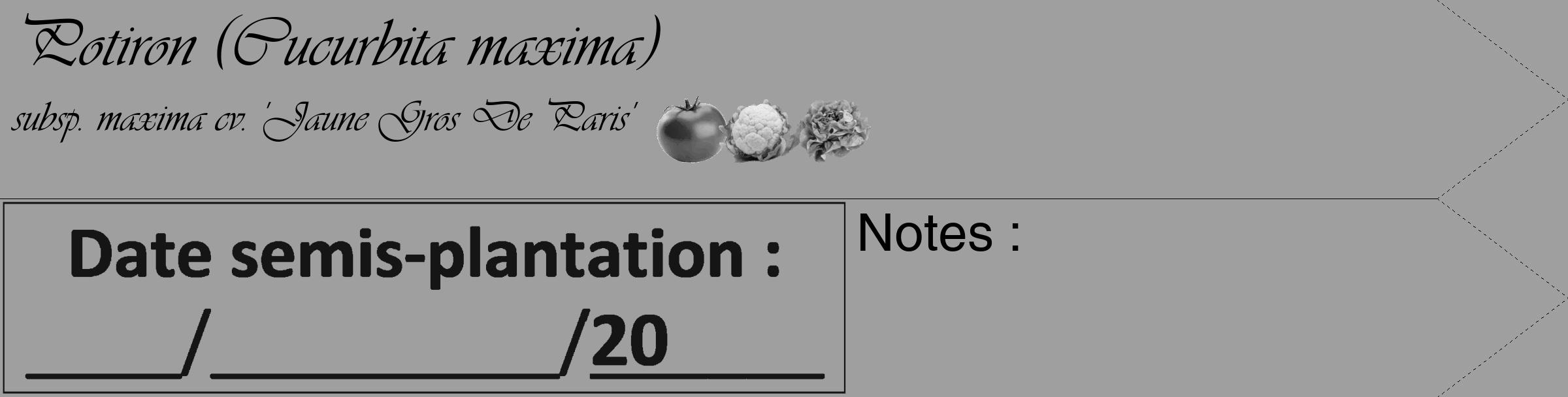 Étiquette de : Cucurbita maxima subsp. maxima cv. 'Jaune Gros De Paris' - format c - style noire24_simple_simpleviv avec comestibilité simplifiée