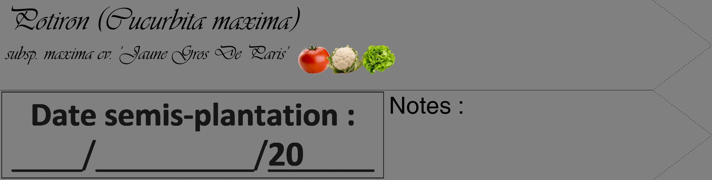 Étiquette de : Cucurbita maxima subsp. maxima cv. 'Jaune Gros De Paris' - format c - style noire57_simple_simpleviv avec comestibilité simplifiée