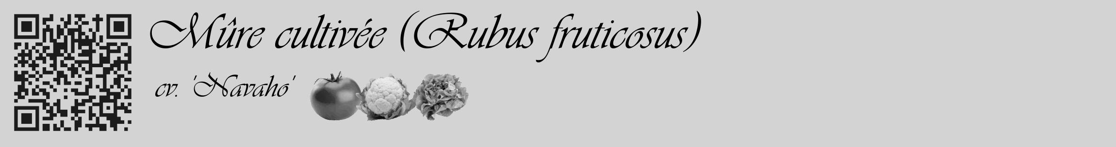 Étiquette de : Rubus fruticosus cv. 'Navaho' - format c - style noire56basique_basique_basiqueviv avec qrcode et comestibilité simplifiée