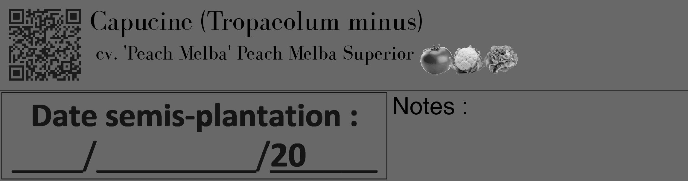 Étiquette de : Tropaeolum minus cv. 'Peach Melba' - format c - style noire6_basique_basiquebod avec qrcode et comestibilité simplifiée