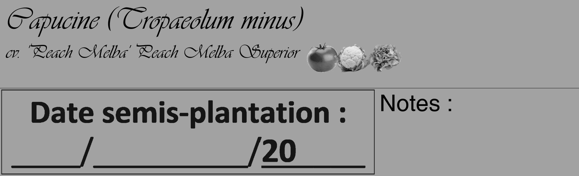 Étiquette de : Tropaeolum minus cv. 'Peach Melba' - format c - style noire38_basique_basiqueviv avec comestibilité simplifiée